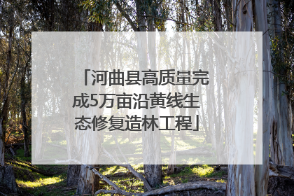 河曲县高质量完成5万亩沿黄线生态修复造林工程