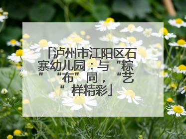 泸州市江阳区石寨幼儿园：与“粽”“布”同，“艺”样精彩