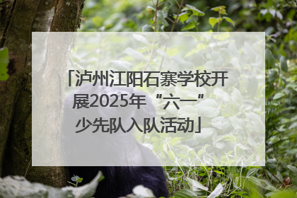 泸州江阳石寨学校开展2025年“六一”少先队入队活动