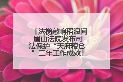 法槌敲响稻浪间 眉山法院发布司法保护“天府粮仓”三年工作成效