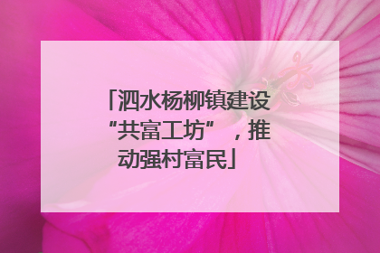 泗水杨柳镇建设“共富工坊”，推动强村富民
