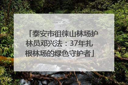 泰安市徂徕山林场护林员邓兴法：37年扎根林场的绿色守护者