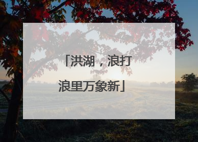 洪湖，浪打浪里万象新