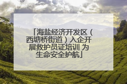 海盐经济开发区（西塘桥街道）入企开展救护员证培训 为生命安全护航