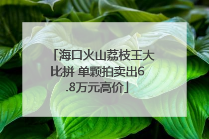 海口火山荔枝王大比拼 单颗拍卖出6.8万元高价