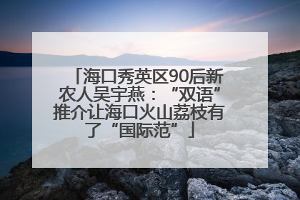 海口秀英区90后新农人吴宇燕：“双语”推介让海口火山荔枝有了“国际范”