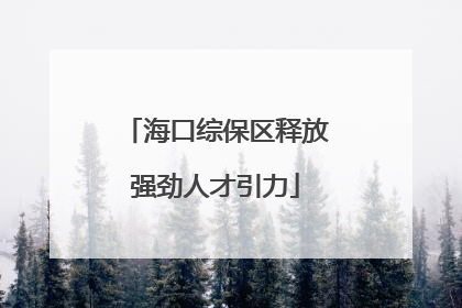 海口综保区释放强劲人才引力