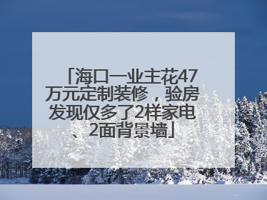 海口一业主花47万元定制装修，验房发现仅多了2样家电、2面背景墙