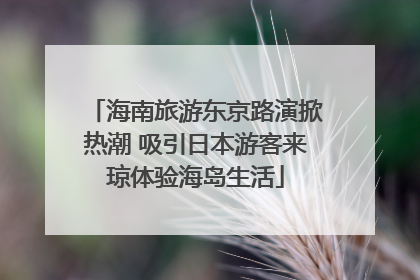 海南旅游东京路演掀热潮 吸引日本游客来琼体验海岛生活