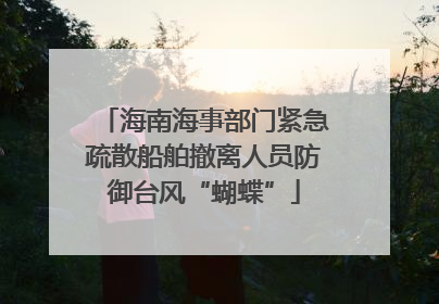 海南海事部门紧急疏散船舶撤离人员防御台风“蝴蝶”