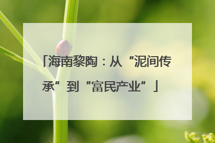 海南黎陶：从“泥间传承”到“富民产业”