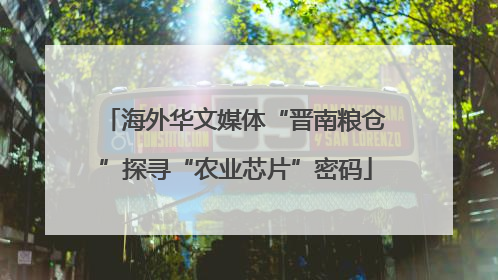 海外华文媒体“晋南粮仓”探寻“农业芯片”密码