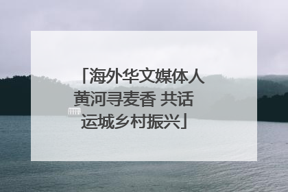 海外华文媒体人黄河寻麦香 共话运城乡村振兴