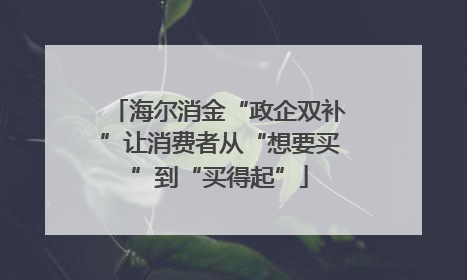 海尔消金“政企双补”让消费者从“想要买”到“买得起”