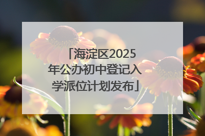 海淀区2025年公办初中登记入学派位计划发布