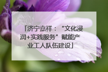 济宁嘉祥：“文化浸润+实践服务”赋能产业工人队伍建设