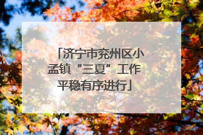 济宁市兖州区小孟镇“三夏”工作平稳有序进行