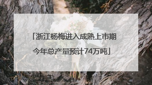 浙江杨梅进入成熟上市期 今年总产量预计74万吨