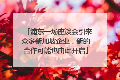 浦东一场座谈会引来众多新加坡企业，新的合作可能也由此开启