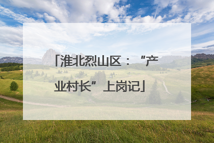 淮北烈山区：“产业村长”上岗记