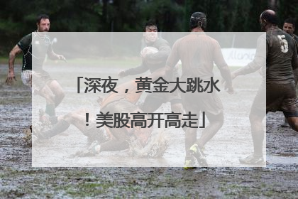深夜，黄金大跳水！美股高开高走