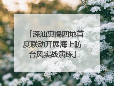 深汕惠揭四地首度联动开展海上防台风实战演练