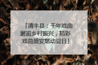 清丰县：千年戏曲邂逅乡村振兴，精彩戏曲盛宴燃动夏日