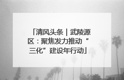 清风头条｜武陵源区：聚焦发力推动“三化”建设年行动