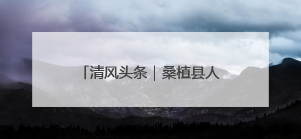 清风头条｜桑植县人潮溪镇：“迟到”5年的生态林补偿金