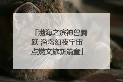 渤海之滨神兽腾跃 渔岛幻夜宇宙点燃文旅新篇章