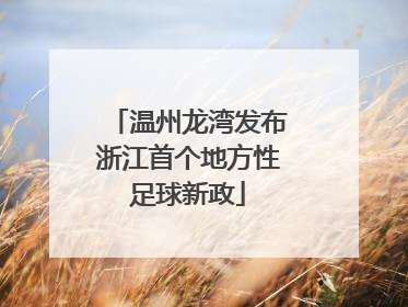温州龙湾发布浙江首个地方性足球新政