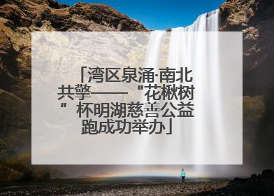 湾区泉涌·南北共擎——“花楸树”杯明湖慈善公益跑成功举办