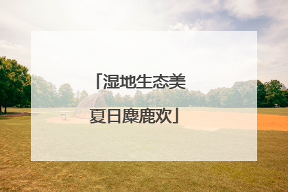 湿地生态美 夏日麋鹿欢