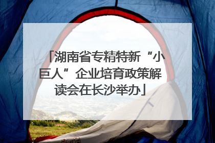 湖南省专精特新“小巨人”企业培育政策解读会在长沙举办