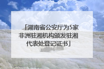 湖南省公安厅为5家非洲驻湘机构颁发驻湘代表处登记证书