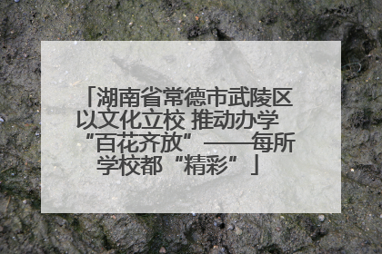 湖南省常德市武陵区以文化立校 推动办学“百花齐放”——每所学校都“精彩”