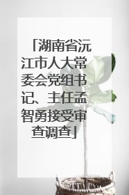 湖南省沅江市人大常委会党组书记、主任孟智勇接受审查调查