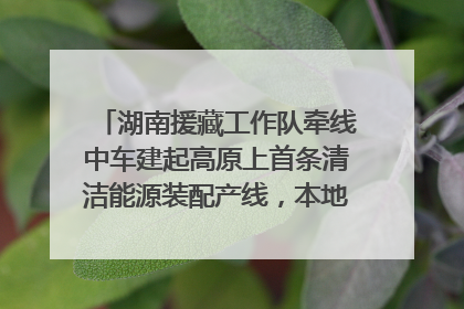 湖南援藏工作队牵线中车建起高原上首条清洁能源装配产线，本地大学生成车间检验员