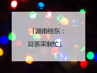 湖南桂东：夏茶采制忙