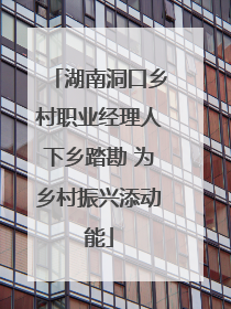 湖南洞口乡村职业经理人下乡踏勘 为乡村振兴添动能