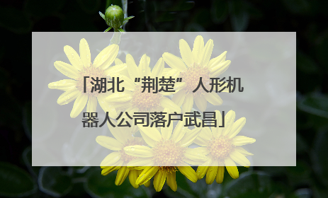 湖北“荆楚”人形机器人公司落户武昌