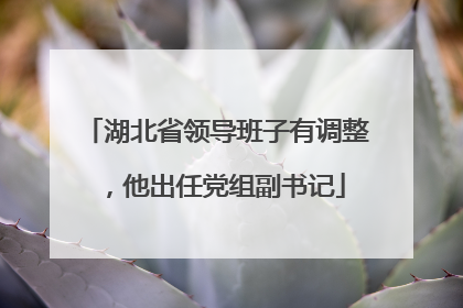湖北省领导班子有调整，他出任党组副书记