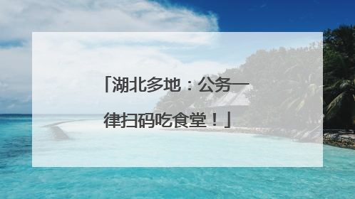 湖北多地：公务一律扫码吃食堂！