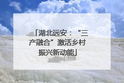 湖北远安：“三产融合”激活乡村振兴新动能