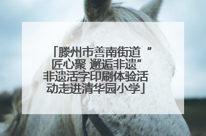 滕州市善南街道“匠心聚 邂逅非遗”非遗活字印刷体验活动走进清华园小学