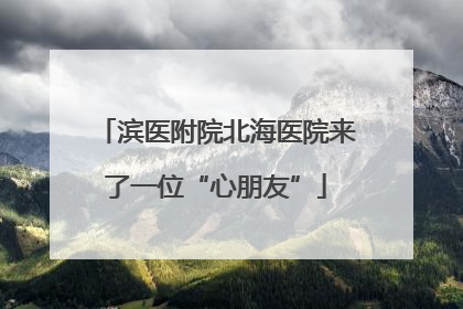 滨医附院北海医院来了一位“心朋友”