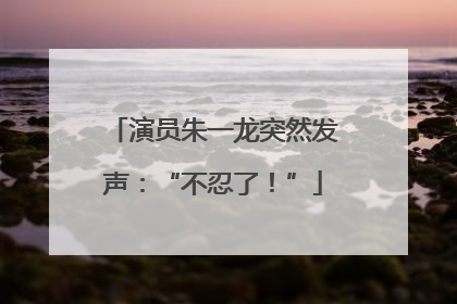 演员朱一龙突然发声：“不忍了！”