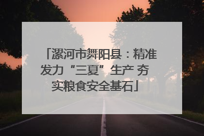 漯河市舞阳县：精准发力“三夏”生产 夯实粮食安全基石