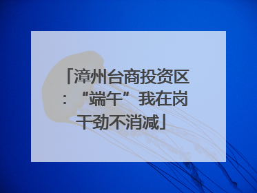 漳州台商投资区：“端午”我在岗 干劲不消减