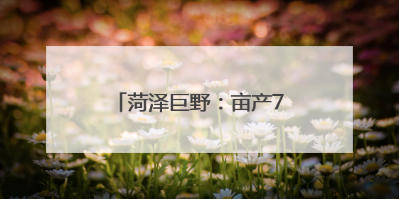 菏泽巨野：亩产751.2公斤  高产田里好“丰景”